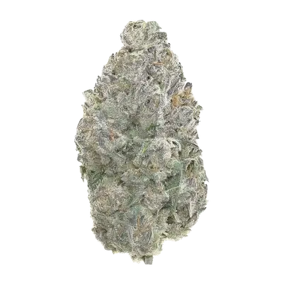 White Silk by Xeno Seed Company cannabis strain