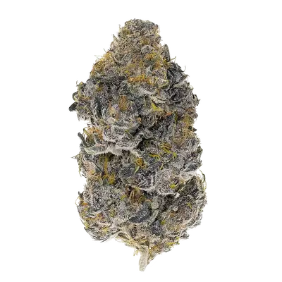 Whole Fruits by Round Table Genetics cannabis strain