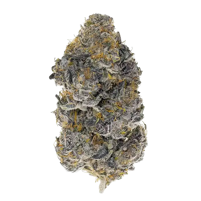 Whole Fruits by Round Table Genetics cannabis strain