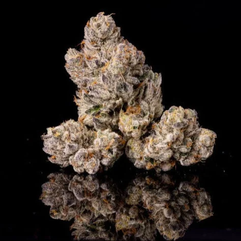 11:11 x Zangria by Wizard Trees, Photoperiod cannabis strain