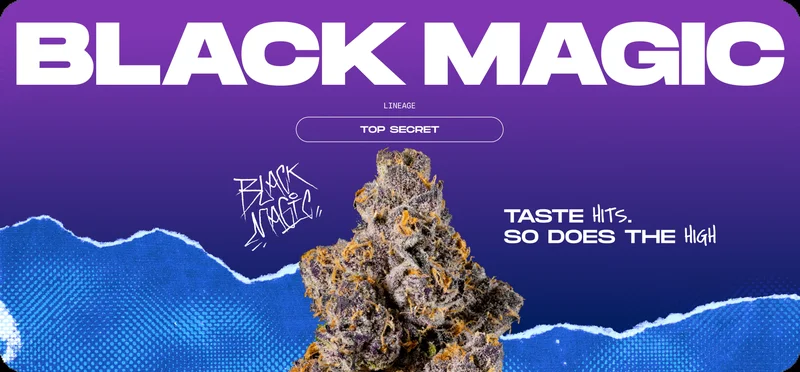 Black Magic by Wizard Trees, Photoperiod cannabis strain