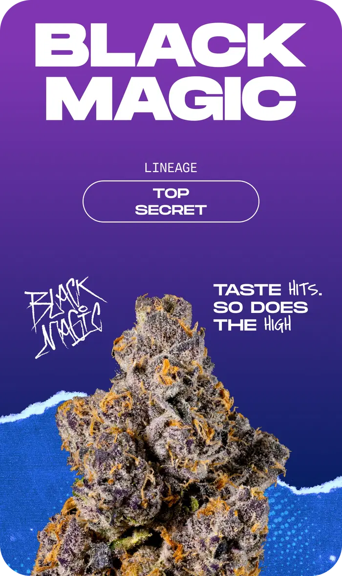 Black Magic by Craft Farmer, Photoperiod cannabis strain