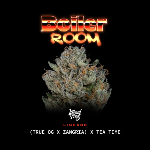 Boiler Room by Wizard Trees cannabis strain