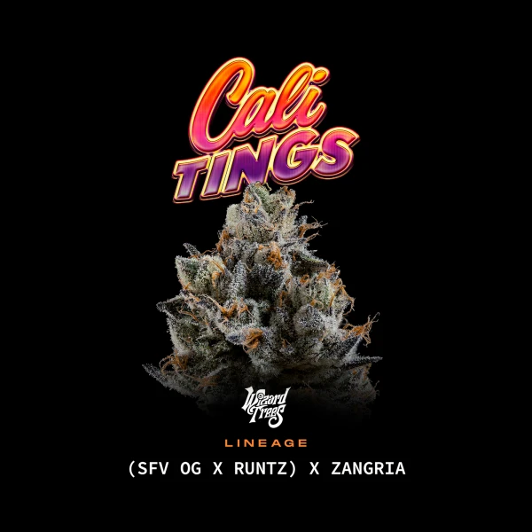 Cali Tings by Wizard Trees cannabis strain