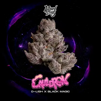 Cauldron cannabis strain
