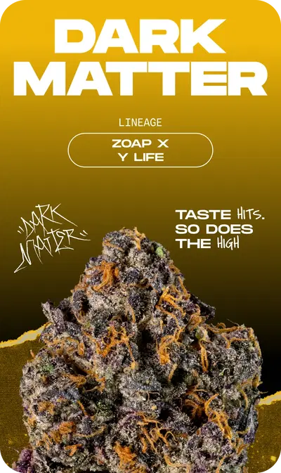 Dark Matter by Kingdom Organic Seeds, Photoperiod cannabis strain
