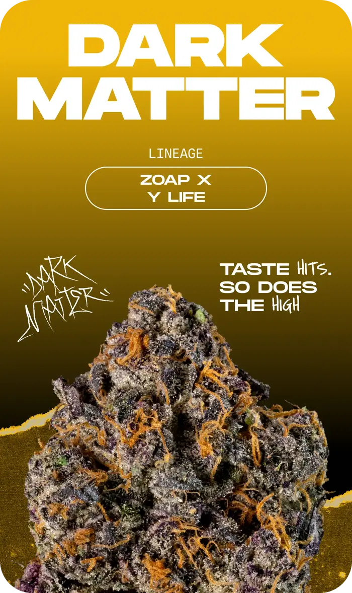 Dark Matter by Kingdom Organic Seeds, Photoperiod cannabis strain