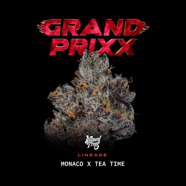 Grand Prixx by Wizard Trees cannabis strain
