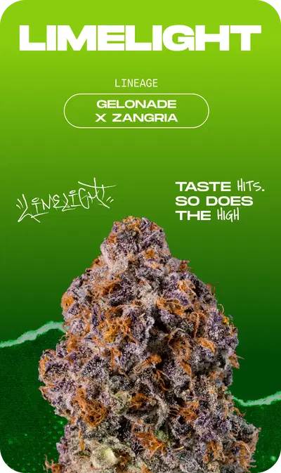 Limelight by Wizard Trees, Photoperiod cannabis strain