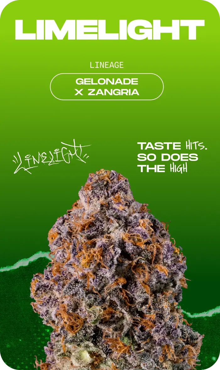 Limelight by Wizard Trees, Photoperiod cannabis strain