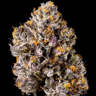 Mystic Marker by Wizard Trees, Photoperiod cannabis strain