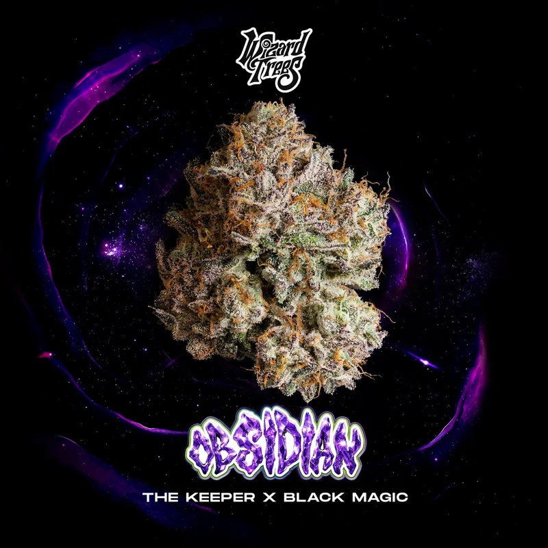 Obsidian by Wizard Trees, Photoperiod cannabis strain