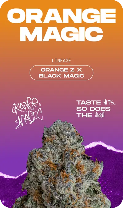Orange Magic by Wizard Trees, Photoperiod cannabis strain