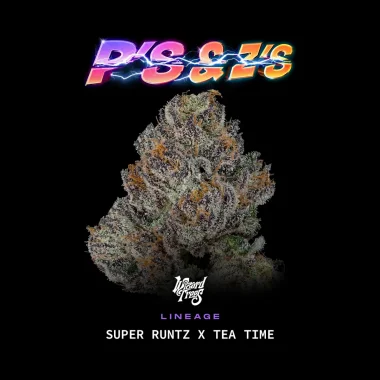 P'S & Z'S by Wizard Trees cannabis strain