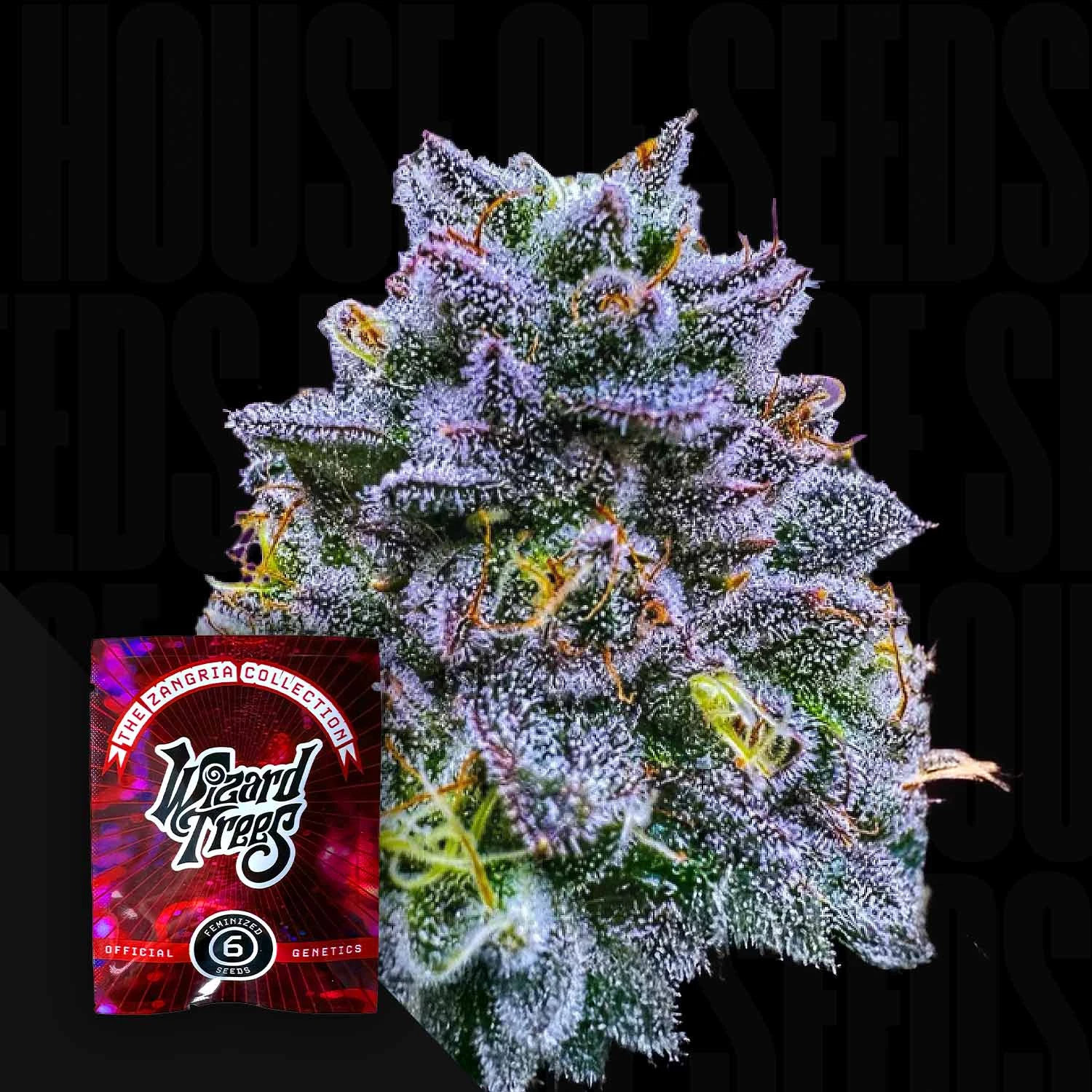 Riptide by Wizard Trees cannabis strain
