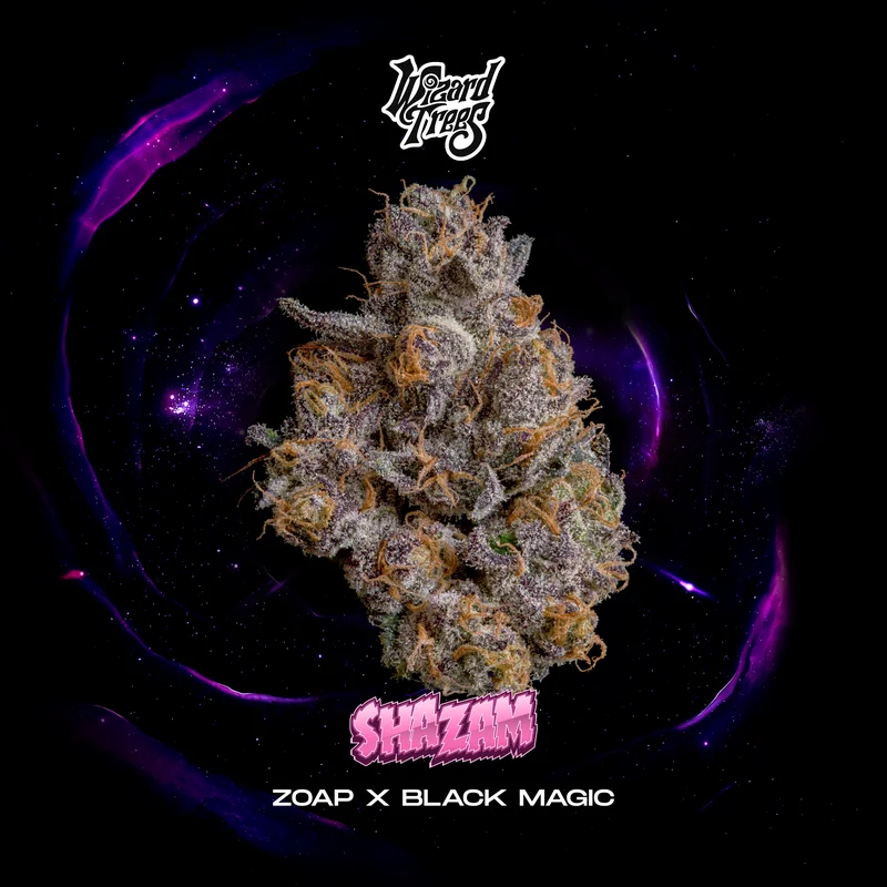 Shazam by Wizard Trees cannabis strain