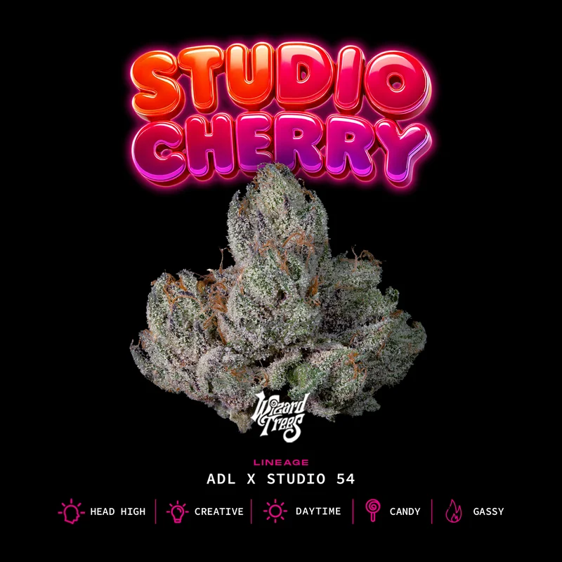 Studio Cherry by Wizard Trees, Photoperiod cannabis strain