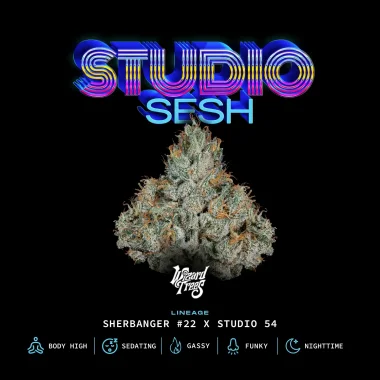 Studio Sesh by Wizard Trees cannabis strain