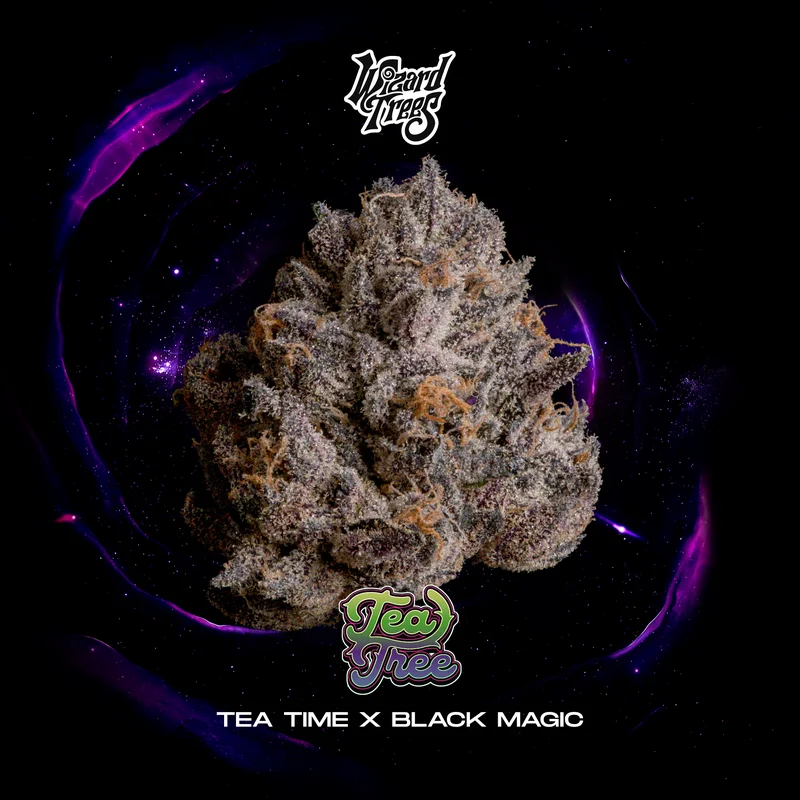Tea Tree by Wizard Trees cannabis strain