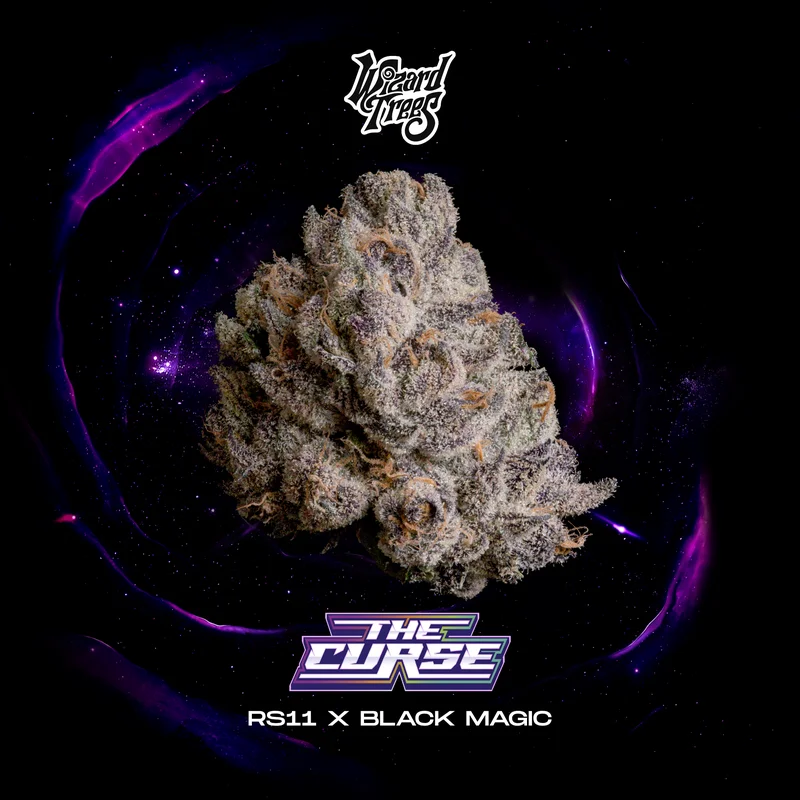 The Curse by Wizard Trees cannabis strain