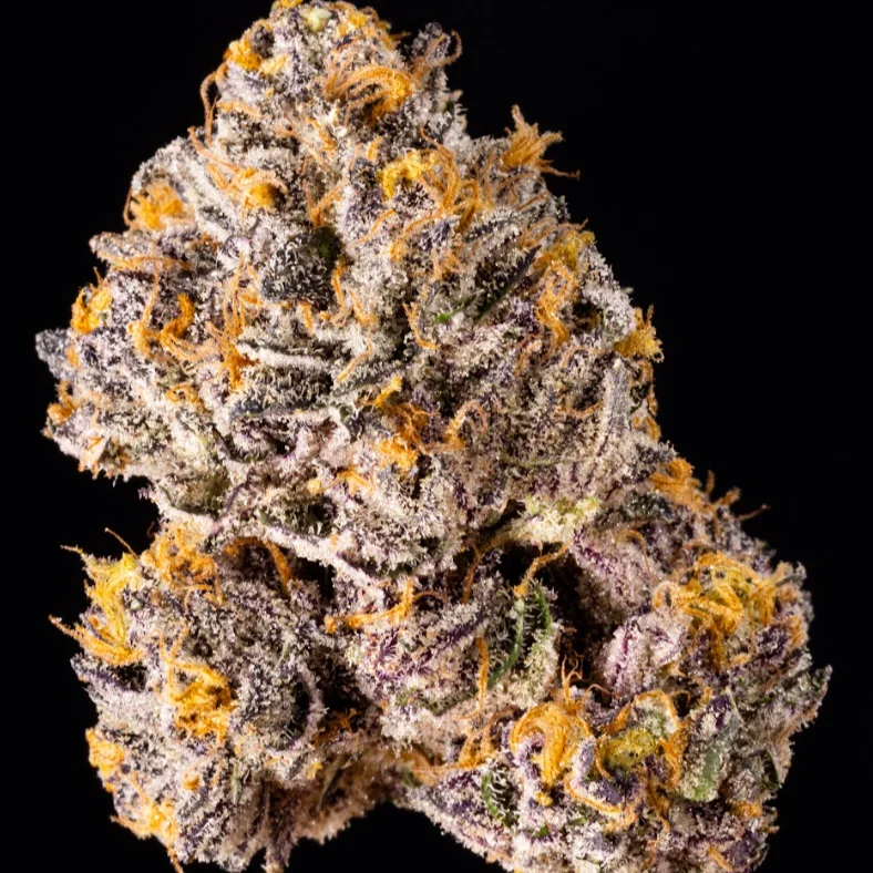 The Keeper by Wizard Trees, Photoperiod cannabis strain