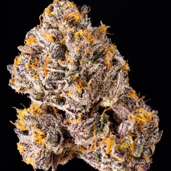 The Keeper by Wizard Trees, Photoperiod cannabis strain