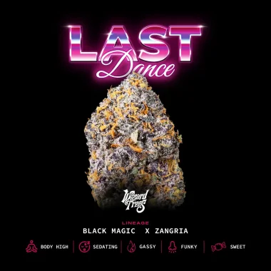 The Last Dance by Wizard Trees cannabis strain