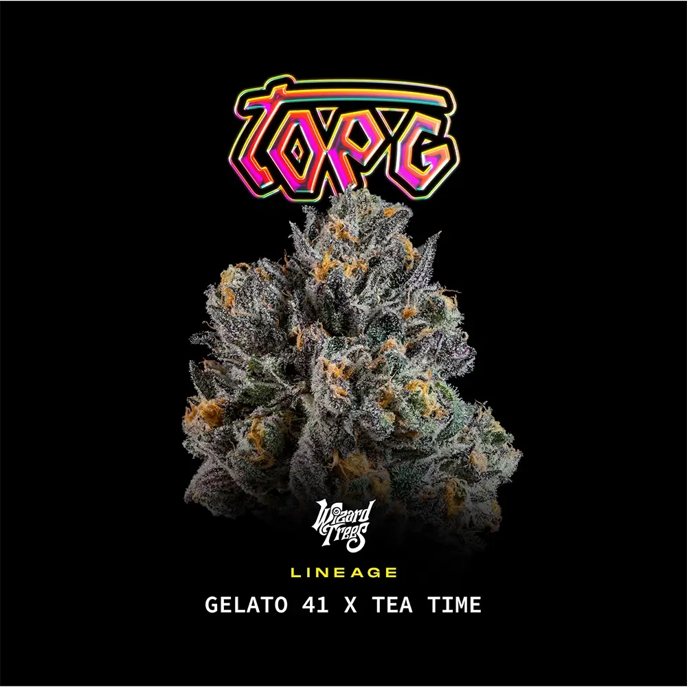 Top G by Wizard Trees cannabis strain