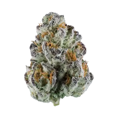 Zeven Up by Sexual Chocolate Factory cannabis strain