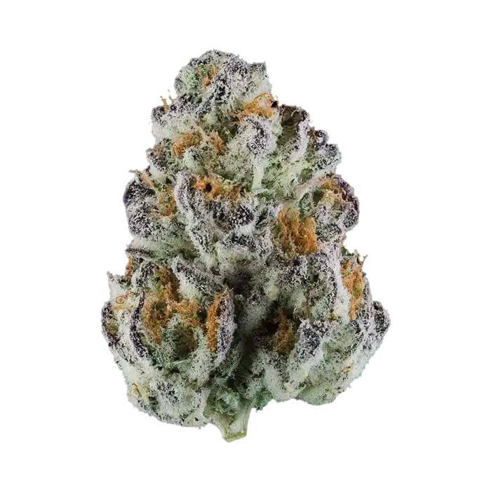 Zeven Up by Sexual Chocolate Factory cannabis strain